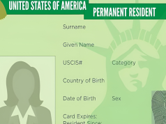 Think Twice Before Moving to the USA: Engineer Urgently Warns Green Card Could Take a Lifetime