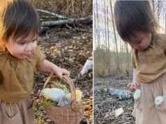 Viral Video: Adorable Little Girl and Chicks Steal Hearts—Who’s Cuter? You Decide!