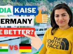 Indians in Germany Reveal Surprising Regrets: ‘Why We Miss India’ – Watch the Viral Video