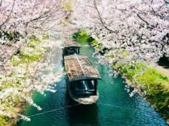 A Journey to Paradise: Discover Japan’s 5 Most Enchanting Villages