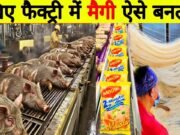 Is Maggi Made from Chinese Pig Fat? Debunking the Myths Behind Popular Instant Noodles maggi_manufacture_process