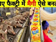 Is Maggi Made from Chinese Pig Fat? Debunking the Myths Behind Popular Instant Noodles maggi_manufacture_process