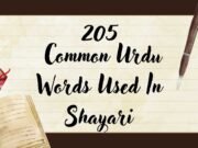205 Common Urdu Words used in Shayari 205_urdu_words_for_shayari