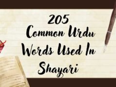 205 Common Urdu Words used in Shayari 205_urdu_words_for_shayari