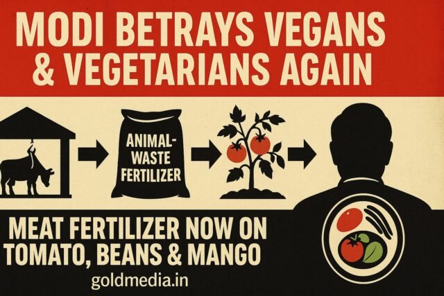 modi-betrays-vegas-and-vegetarians-again modi-betrays-vegas-and-vegetarians-again